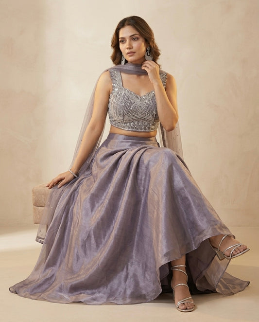 Indowestern skirt  and  heavy choli